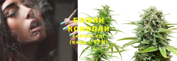 винт Бронницы