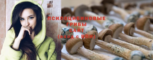 спайс Бородино