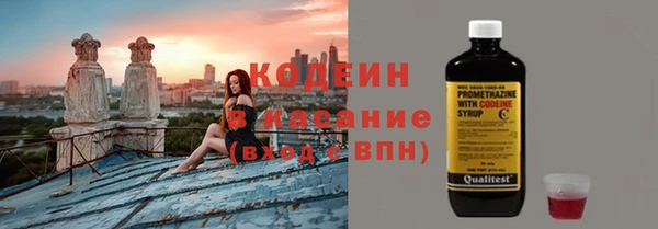 спайс Бородино