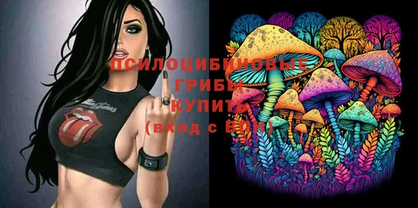 гидропоника Бугульма