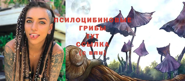спайс Бородино