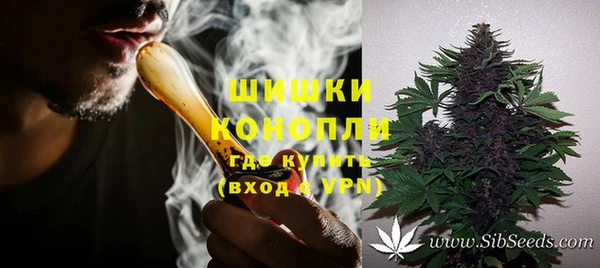 спайс Бородино