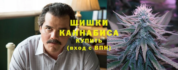 гидропоника Бугульма