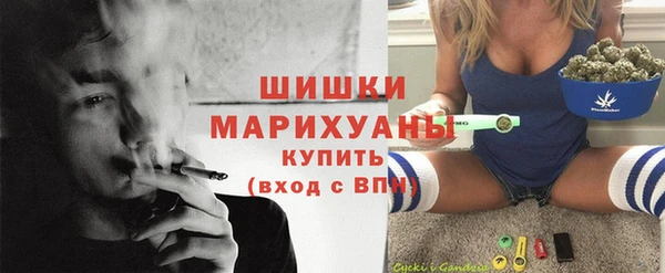 спайс Бородино
