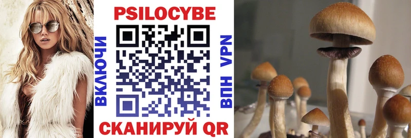 Галлюциногенные грибы прущие грибы ссылка на мегу ССЫЛКА Новохопёрск